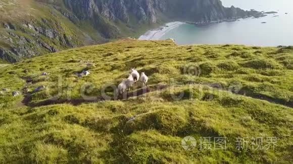 挪威的洛福滕岛和海滩鸟瞰图视频