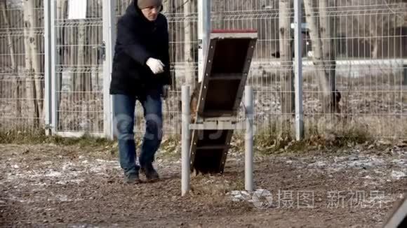 训练场上的狗训练-一只德国牧羊犬在双摆动上奔跑