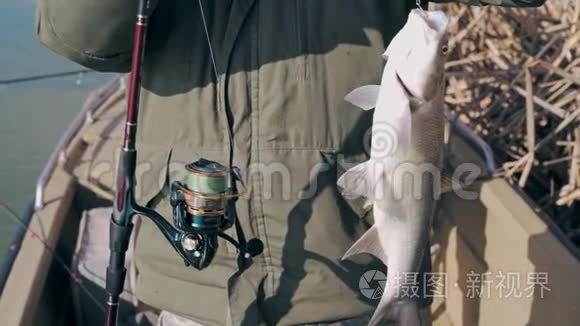 渔夫表演捕捉到的食肉鱼视频
