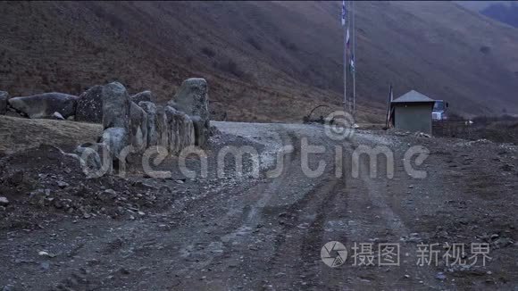 狗杰克罗素梗跑在山里视频