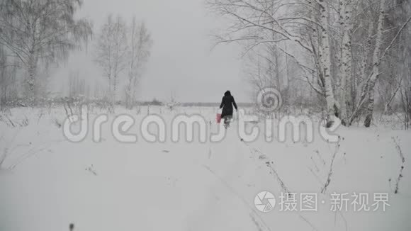 带着篮子的女孩走在雪地上视频