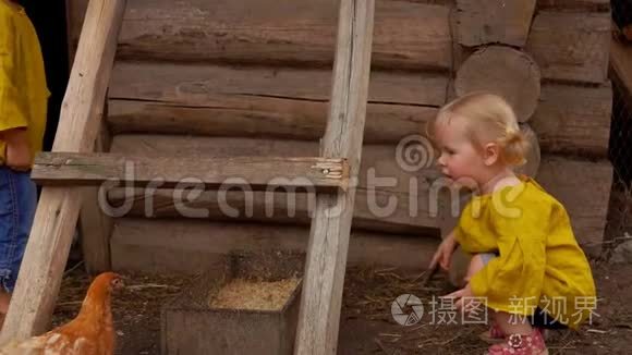 可爱的女孩在农舍里审查幼鸟视频