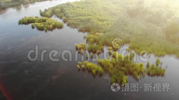 飞越薄雾沼泽视频