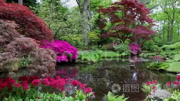 海牙传统日本花园。 高清录像。