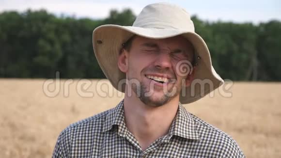 快乐农学家在麦田模糊的背景下做滑稽面孔的肖像年轻快乐的农民视频的预览图
