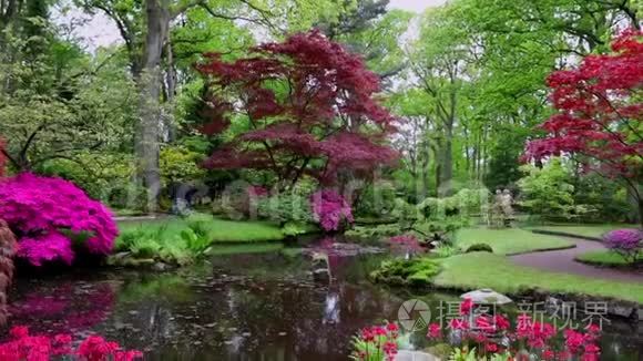 海牙传统日本花园。 高清录像。