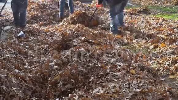 吹叶是一种低角度视角的吹叶器，用来移动草坪上的落叶