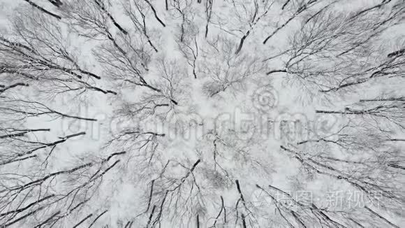 冬季，在林地的雪覆盖着的树木上进行高空自上而下的无人机飞行. 4的高空飞碟