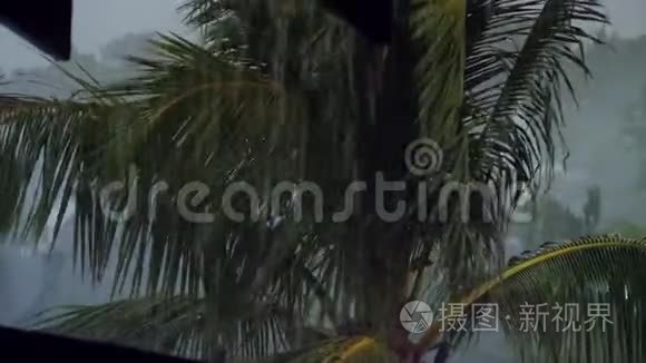 热带岛屿上风暴、雨和闪电的4K视频。 潮湿的棕榈树在大风中弯曲
