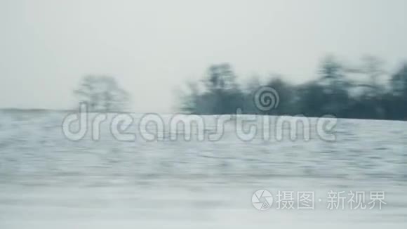 法国冬季旅行列车雪景