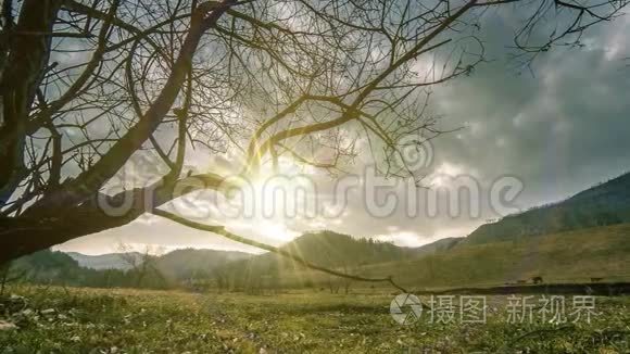 死亡树和枯黄的草在云和太阳光线的蒙天景观的时间流逝。 水平滑块运动