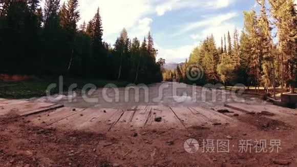 山河岸边的草甸。 有绿草，松树和阳光的景观.. 在机动滑块小车上运动。