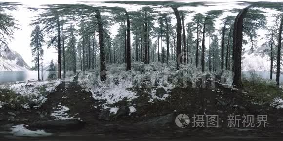 山湖360vr在冬季时间.. 野生自然和山谷。 青翠的松树和天空中的快云