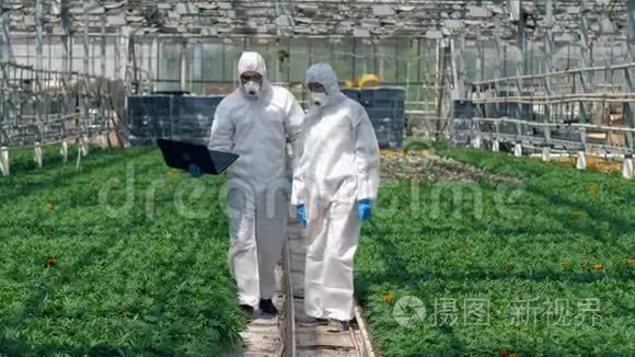 两个农学家沿着植物缓慢行走