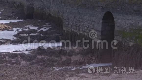 水从石墙流入泥泞的地形视频