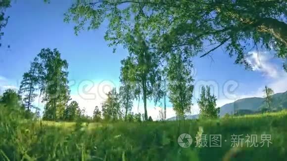 山地草甸时间——夏季或秋季时推移.. 野的自然和田园.. 电动滑块小车运动。