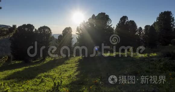 山地草甸时间推移。 野的自然和田园.. 云，树，绿草和太阳光的运动.. 相机动作。