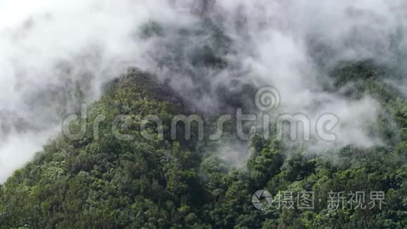 美丽的视频云从山上的山峰流动和飞行在热带雨林在山谷。 完美的背景或