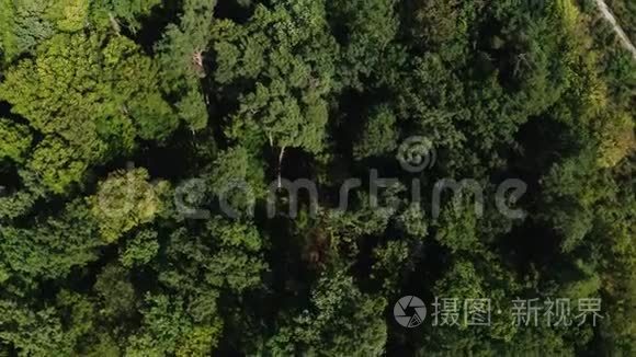 在家里煮饺子，在木板上用饺子做面团和面粉