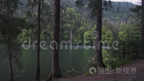 森林湖里的蓝水和松树