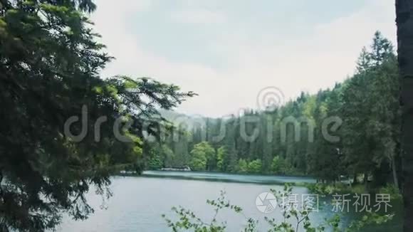 森林湖里的蓝水和松树视频
