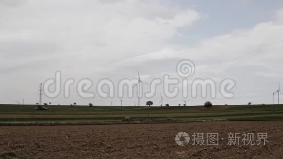 平静的天气越过田野视频