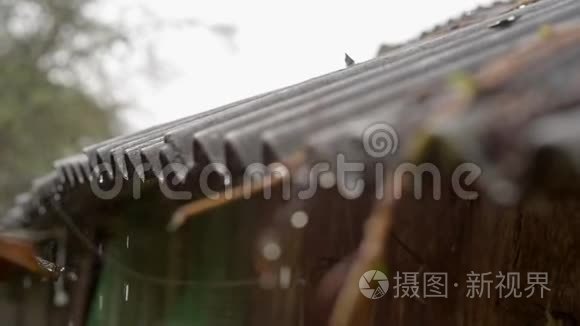 雨点从屋顶滴下来