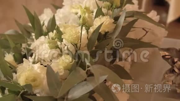 窗外美丽的春花和树叶播种机视频