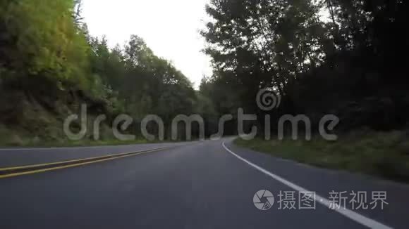 道路水平行驶穿过卢什森林视频