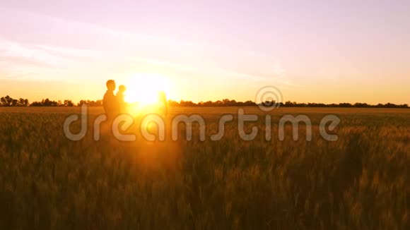 日落时分幸福的爸爸妈妈和孩子在一片麦田里的剪影农民和家庭在田野上一个孩子视频的预览图