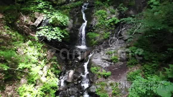 从高处看森林中高山瀑布的全景视频