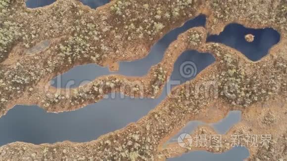 拉脱维亚巨大沼泽的空中俯视图。 Kemeri木板路是Kemeri国家公园著名的旅游目的地。 美丽美丽