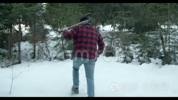 野蛮的伐木工人穿过冬林视频