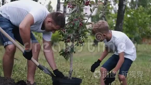 父亲和他的儿子正在把泥土从锅里取下来