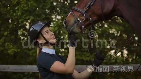 女孩缓慢地抚摸着她的马视频