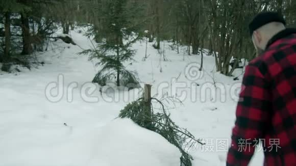 野蛮的伐木工人穿过冬林视频