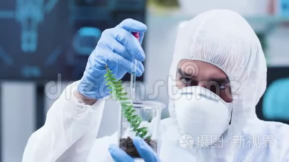 多利拍摄的科学家在白色封面上做植物实验