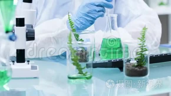 转基因生物在植物上的化学实验视频