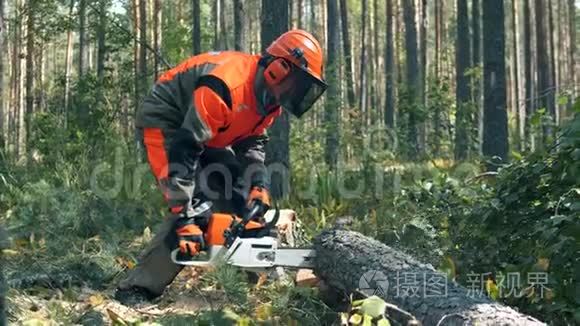 樵夫正在用电锯砍树。 砍伐森林，森林砍伐理念..