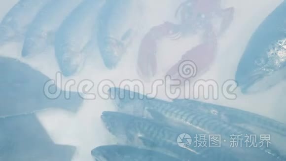 新鲜海鲜精选鲜味汽泡