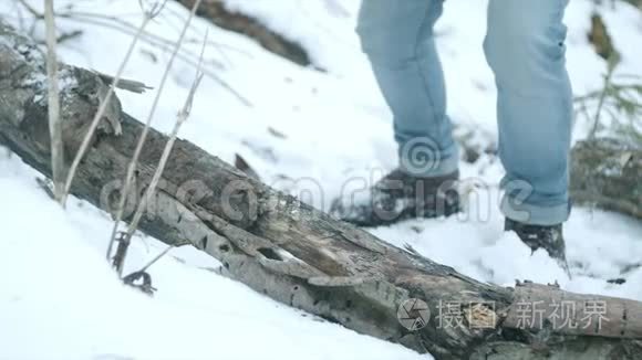 冬天森林里的伐木工人