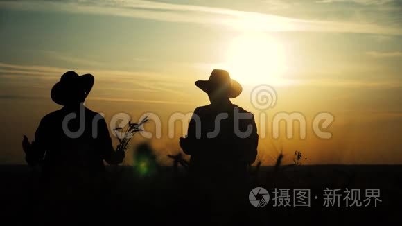 农业耕作两个农民男子团队在一片田野上剪影红脖子，在日落时检查小麦作物。 男性农民
