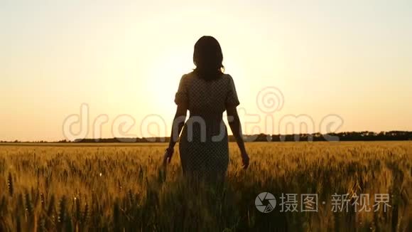 日落时女孩的剪影。 穿着衣服的女孩正在金色的麦穗中朝太阳走来。