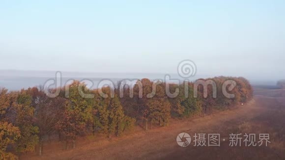 秋天的树木带着绿黄的叶子，在雾中的空旷田野和道路上，俯视。 秋天阴云密布的小巷