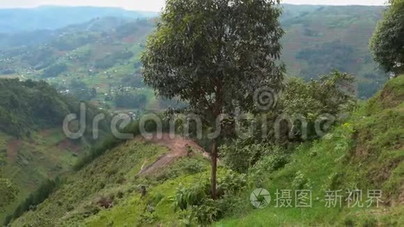 南非，从乌干达到卢旺达的道路上俯瞰着一个非洲村庄、种植园、农田和自然。