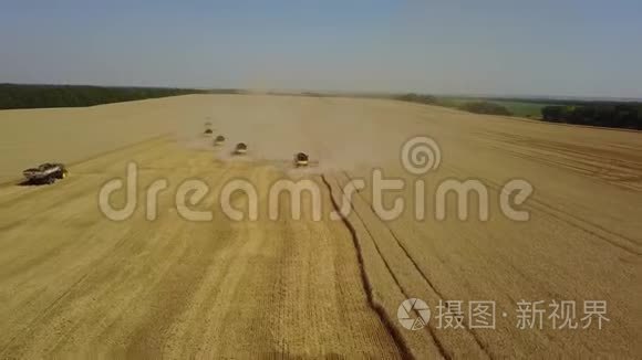 农业录像显示，收割机正在收集收割的小麦谷物。