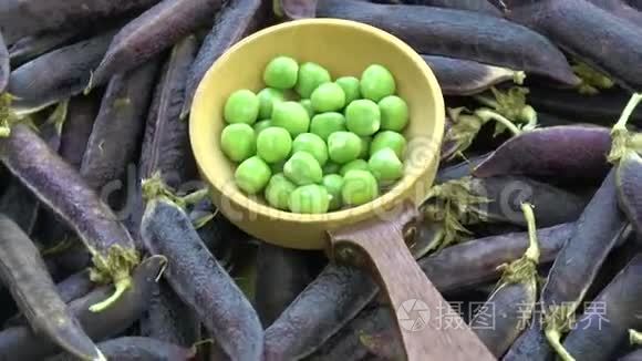 旋转新鲜紫罗兰豌豆荚和勺子视频