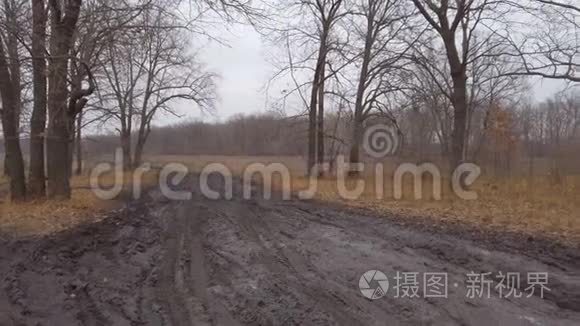 深秋森林里糟糕的泥泞道路视频
