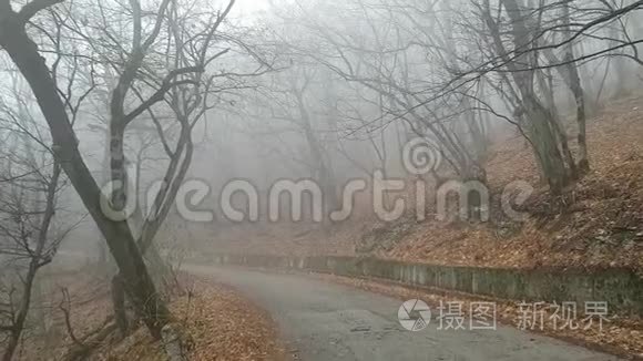 缓慢地穿过一条危险的废弃沥青路.. 浓雾掩盖了秋林的树木