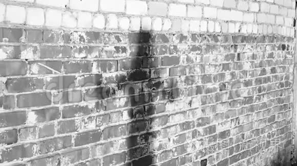 日落时，一个年轻女孩在一堵肮脏的砖墙附近跳舞的影子剪影。 黑白视频.. 慢动作